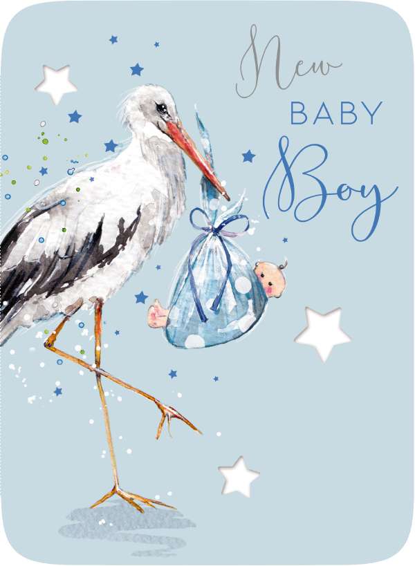 Birth stork with baby boy