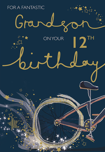 Grandson 12th Birthday Bike