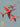 DN - ASP - Red Arrows