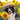 PKT Q11-COLLIEIN SUNFLOWER FIELD