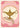 BIRTHDAY WISHES MAGIC LAMP