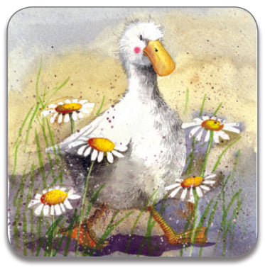 DUCK IN THE DAISIES COASTER